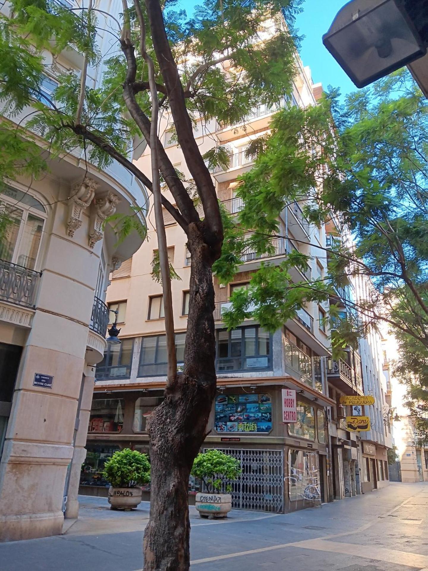 Apartamento Familiar Centro Historico Plaza Ayuntamiento "Ciutat Vella" Valencia Exteriör bild